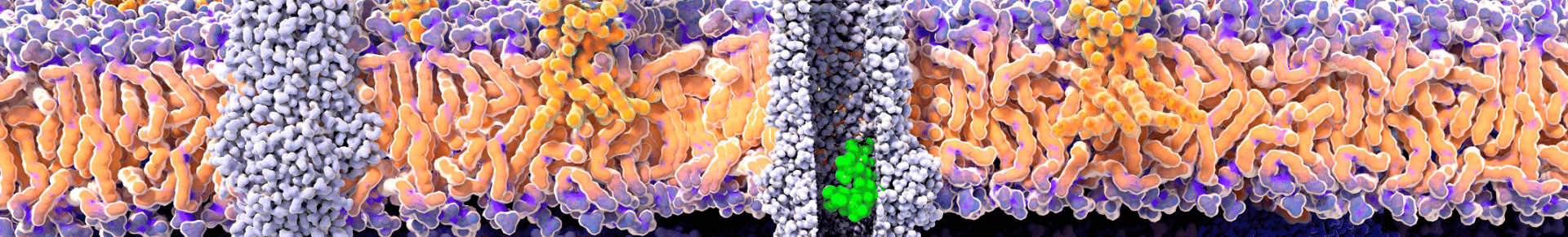 A digital illustration of antibacterial resistance