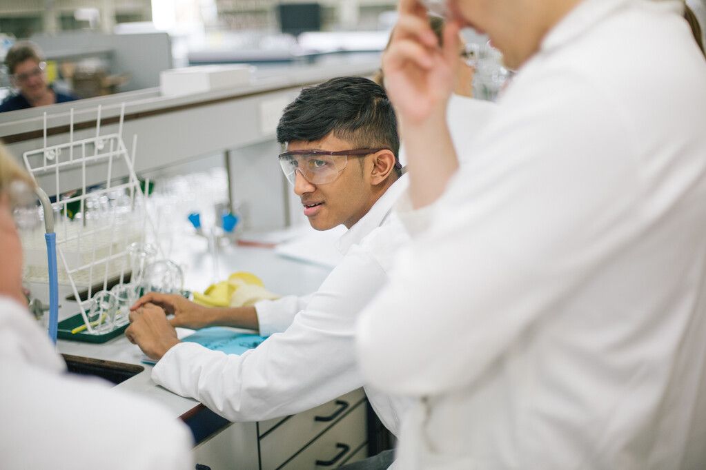 Two students undertaking lab work